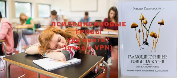 прущие грибы Арсеньев