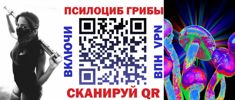 Галлюциногенные грибы Cubensis  Купить где  Неман 